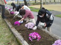 花壇植え込みの様子